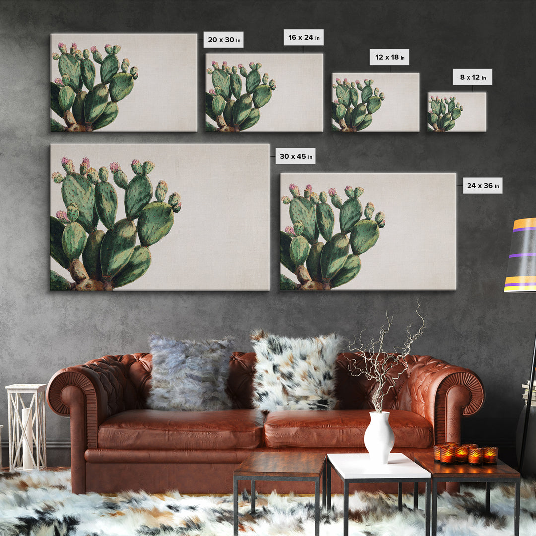 Cactus Botanical Plate Framed Canvas Print, Botanical Art, Living Room Wall Art, Living Room Decor, Fine Art, Botanic, BOT-3x2-65