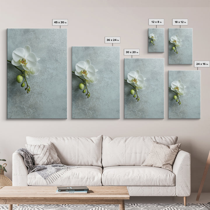 White Orchid on Stone Background Framed Canvas Print, Dental Office Art, Modern Decor, Office Decor, Fine Art, Calm, Poster, DOA-2x3-68