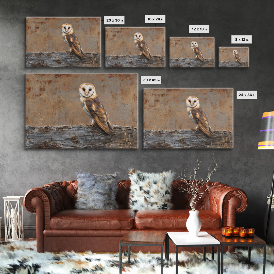 Barn Owl Perched on Aged Wood Framed Canvas Print, Farmhouse Art, Minimalist Decor, Farmhouse Decor, Fine Art, Harvest, FAR-3x2-99