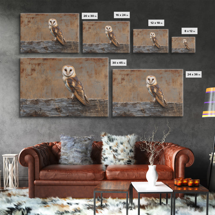 Barn Owl Perched on Aged Wood Framed Canvas Print, Farmhouse Art, Minimalist Decor, Farmhouse Decor, Fine Art, Harvest, FAR-3x2-99