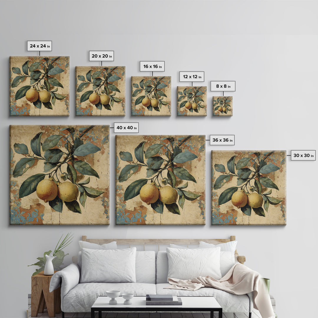 Aged Botanical Plate of Lemons and Leaves Canvas Print, French Country Art, Landscape Wall Art, Farmhouse Decor, Country, FCA-1x1-84
