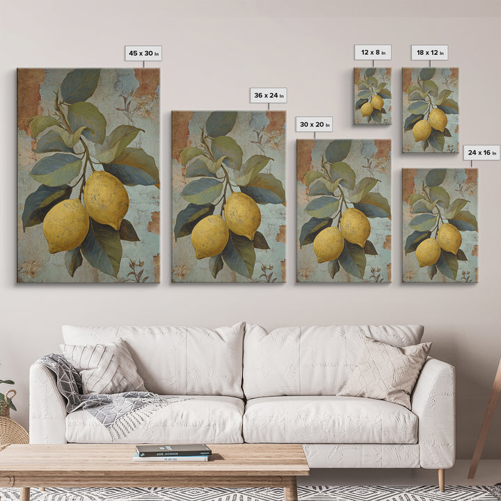 Aged Botanical Plate of Lemons and Leaves Framed Canvas Print, French Country Art, Modern Decor, Farmhouse Decor, Oil Painting, FCA-2x3-68