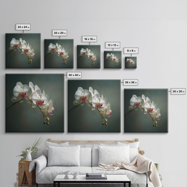 White Orchids Against Warm Gray Background Framed Canvas Print, Master Bedroom, Bedroom Decor, Abstract Art, Sanctuary, MAS-1x1-57