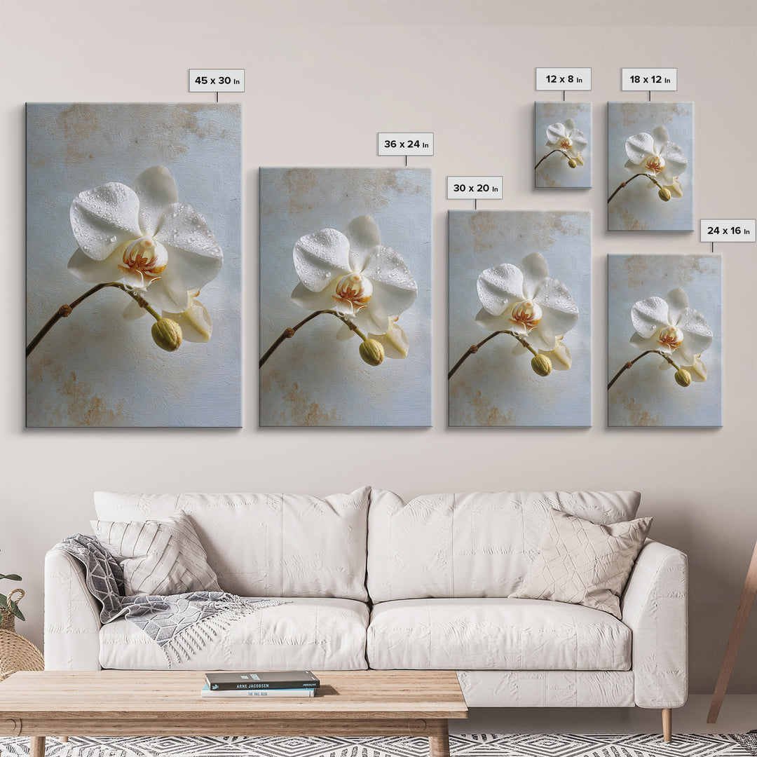 White Orchid on Gray Stone Surface Canvas Print, Medical Office Art, Digital Wall Art, Office Decor, Calm, Healthcare Wall Art, MOA-2x3-86