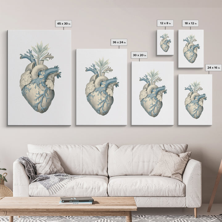 Anatomical Heart Rendered as Tasteful Botanical Art Canvas Print, Medical Office Art, Dental Office Decor, Office Decor, Calm, MOA-2x3-93