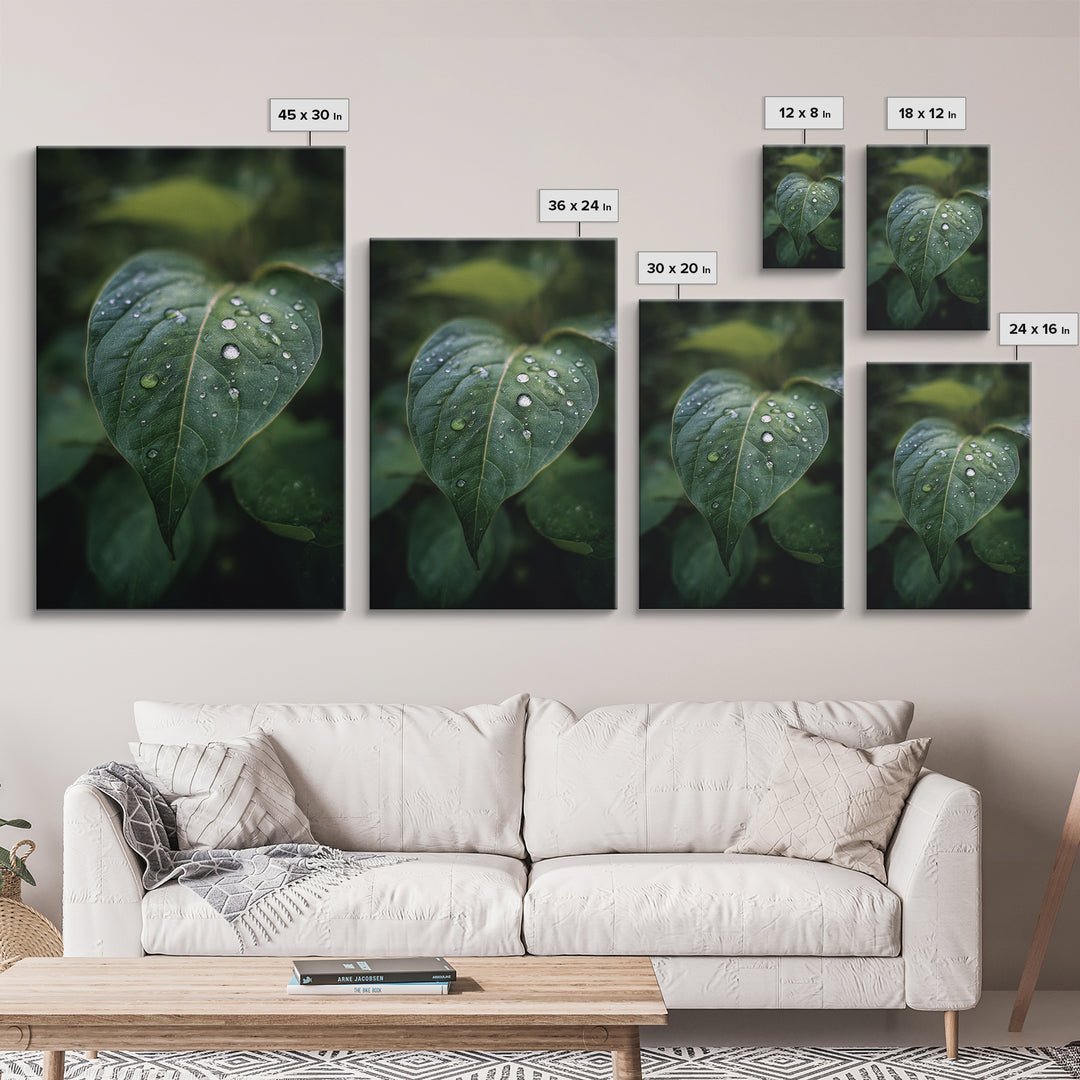 Rain Drops on a Large Green Leaf Canvas Print, Nature Art, Floral, Living Room Decor, Oil Painting, Nature, Moss Art, NAT-2x3-65