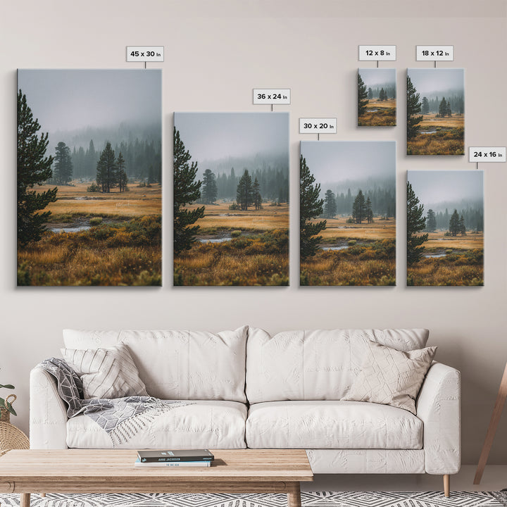 Moody Pine Forest Framed Canvas Print, Nature Art, Framed Art, Living Room Decor, Nature, Botanical Art, Digital Download Art, NAT-2x3-73