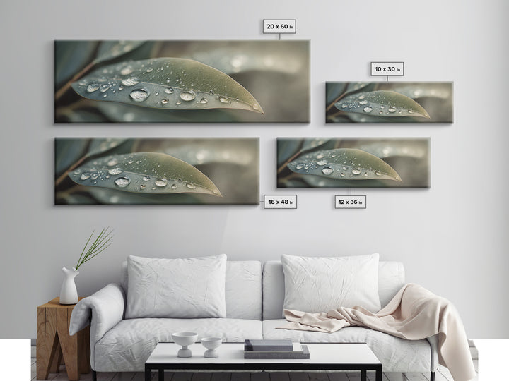Rain Drops on a Large Green Leaf Canvas Print, Nature Art, Living Room Wall Art, Living Room Decor, Fine Art, Nature, NAT-3x1-25