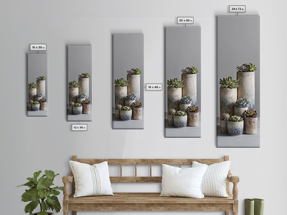 Succulent Collection in Ceramic Planters Canvas Print, Patio Art, Outdoor Wall Decor, Patio Decor, Fine Art, Outdoor, PAT-1x3-81