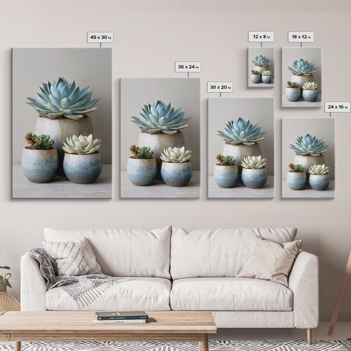 Succulent Collection in Ceramic Planters Canvas Print, Patio Art, Outdoor Wall Decor, Patio Decor, Fine Art, Outdoor, PAT-2x3-77