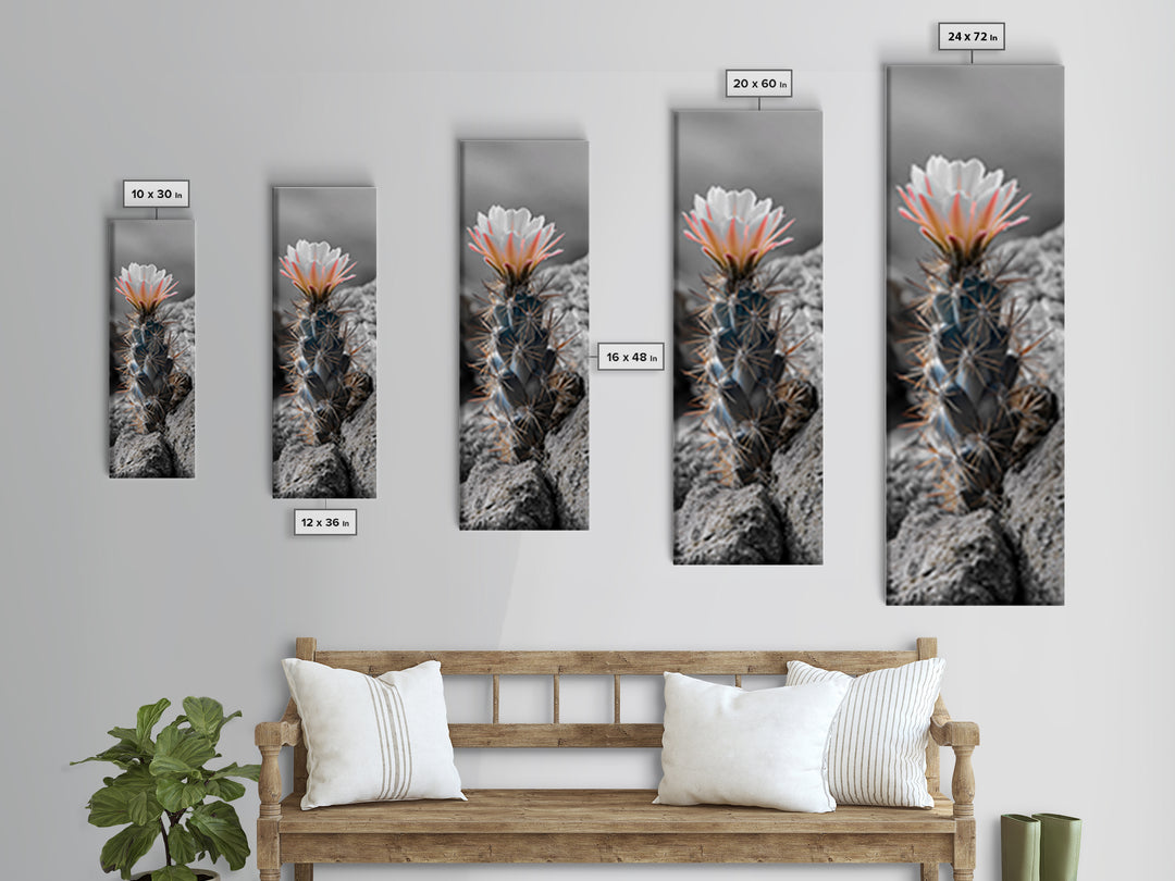 Cactus Bloom Desert Art Framed Canvas Print | Southwest Wall Art | Wildflower Painting | Botanical Prints | Boho Art | Nature Decor | Gift Idea