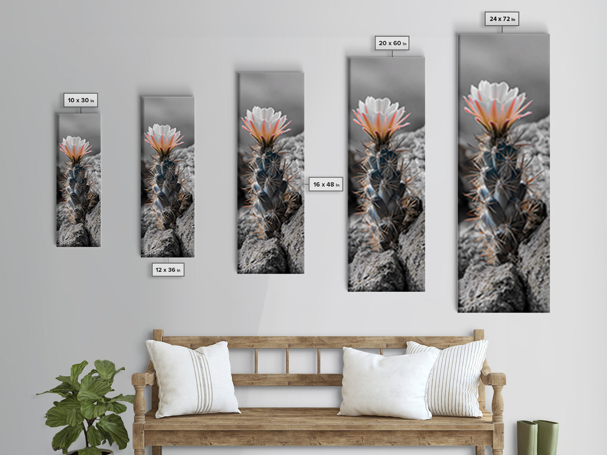 Cactus Bloom Desert Art Framed Canvas Print | Southwest Wall Art | Wildflower Painting | Botanical Prints | Boho Art | Nature Decor | Gift Idea