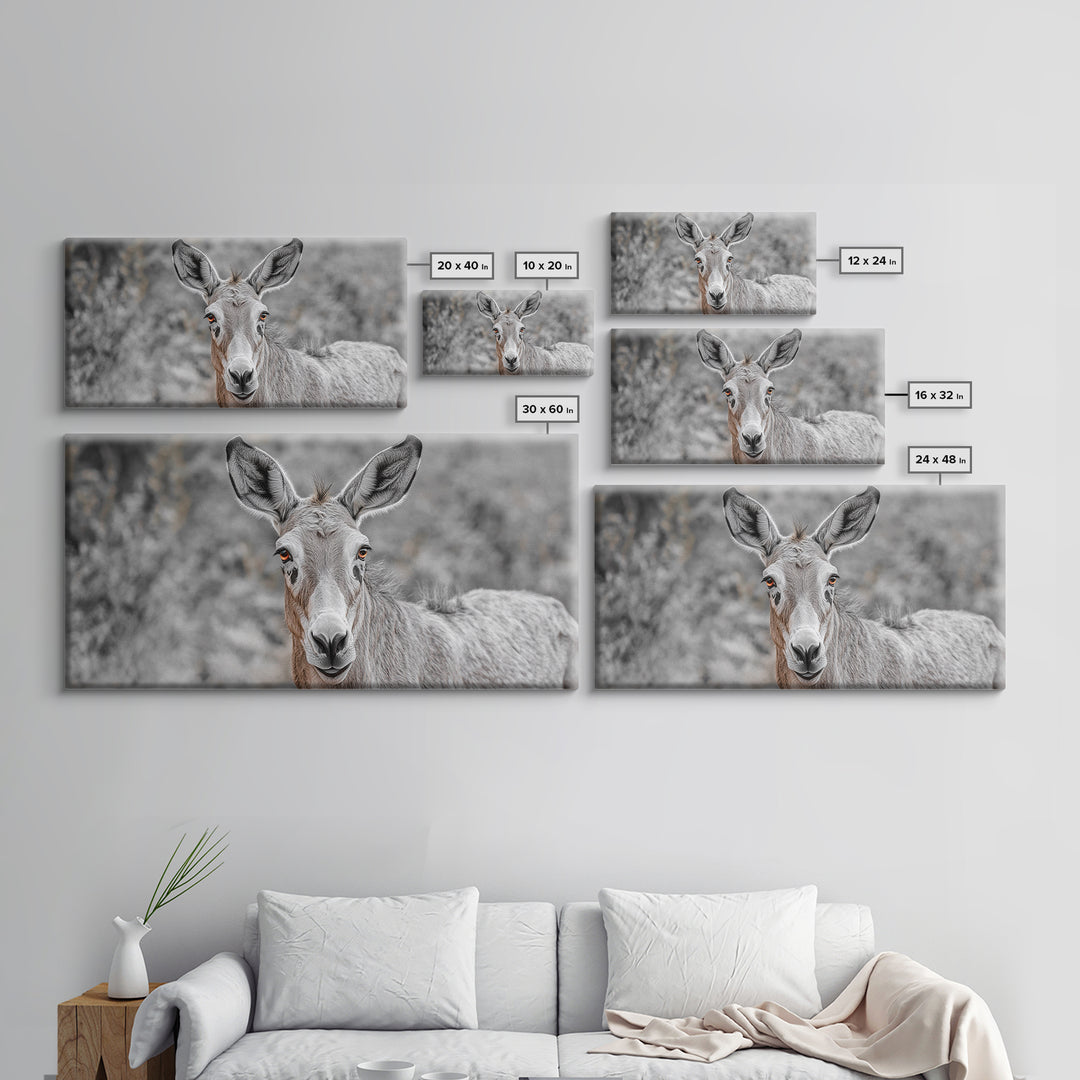 Donkey Close-Up Framed Canvas Print | Rustic Farmhouse Art | Moody Animal Portrait | Southwest Wall Art | Extra Wide Art | Above Couch Decor