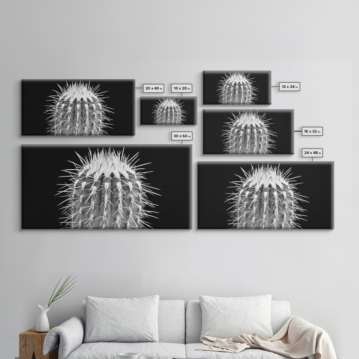 Cactus Spines, southwest wall art, desert art, botanical prints, geometric wall art, nature photography, sharp contrast, Framed Canvas Print