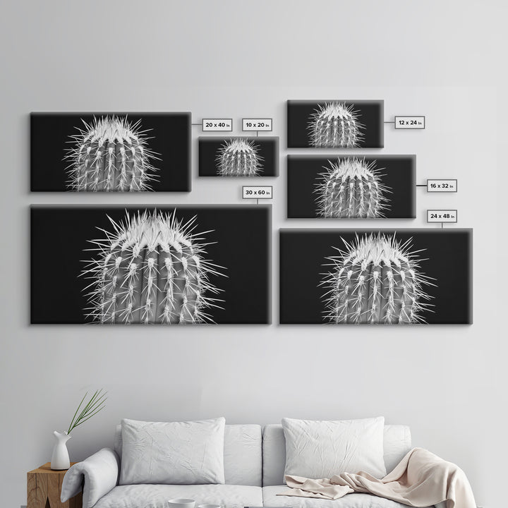 Cactus Spines, southwest wall art, desert art, botanical prints, geometric wall art, nature photography, sharp contrast, Framed Canvas Print