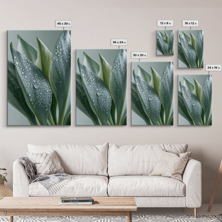 Rain on Leaves Framed Canvas Print, Spa Art, Modern Decor, Spa Decor, Fine Art, Serenity, Wall Decor, Printable Wall Art, SPA-2x3-24