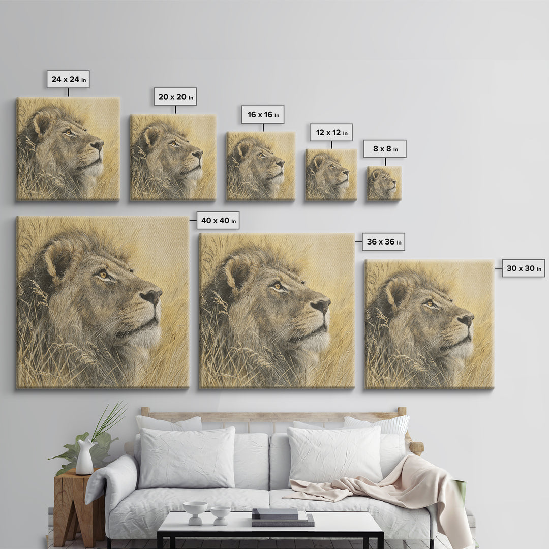 Lion Emerging from Golden Savanna Grass Framed Canvas Print, Wildlife Art, Rustic Home Decor, Living Room Decor, Fine Art, Wild, WIL-1x1-1