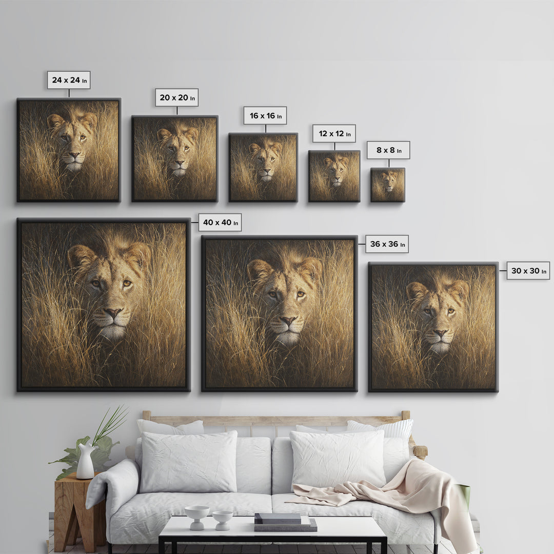 Lion Emerging from Golden Savanna Grass Canvas Print, Wildlife Art, Modern Decor, Living Room Decor, Fine Art, Wild, Home Decor, WIL-1x1-49