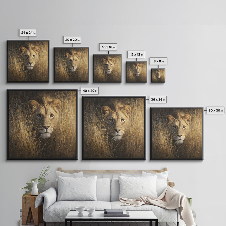Lion Emerging from Golden Savanna Grass Canvas Print, Wildlife Art, Modern Decor, Living Room Decor, Fine Art, Wild, Home Decor, WIL-1x1-49
