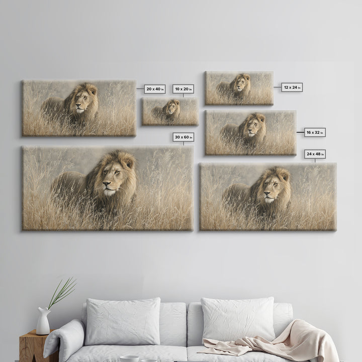 Lion Emerging from Golden Savanna Grass Canvas Print, Wildlife Art, Wall Art Print, Living Room Decor, Fine Art, Wild, WIL-2x1-93