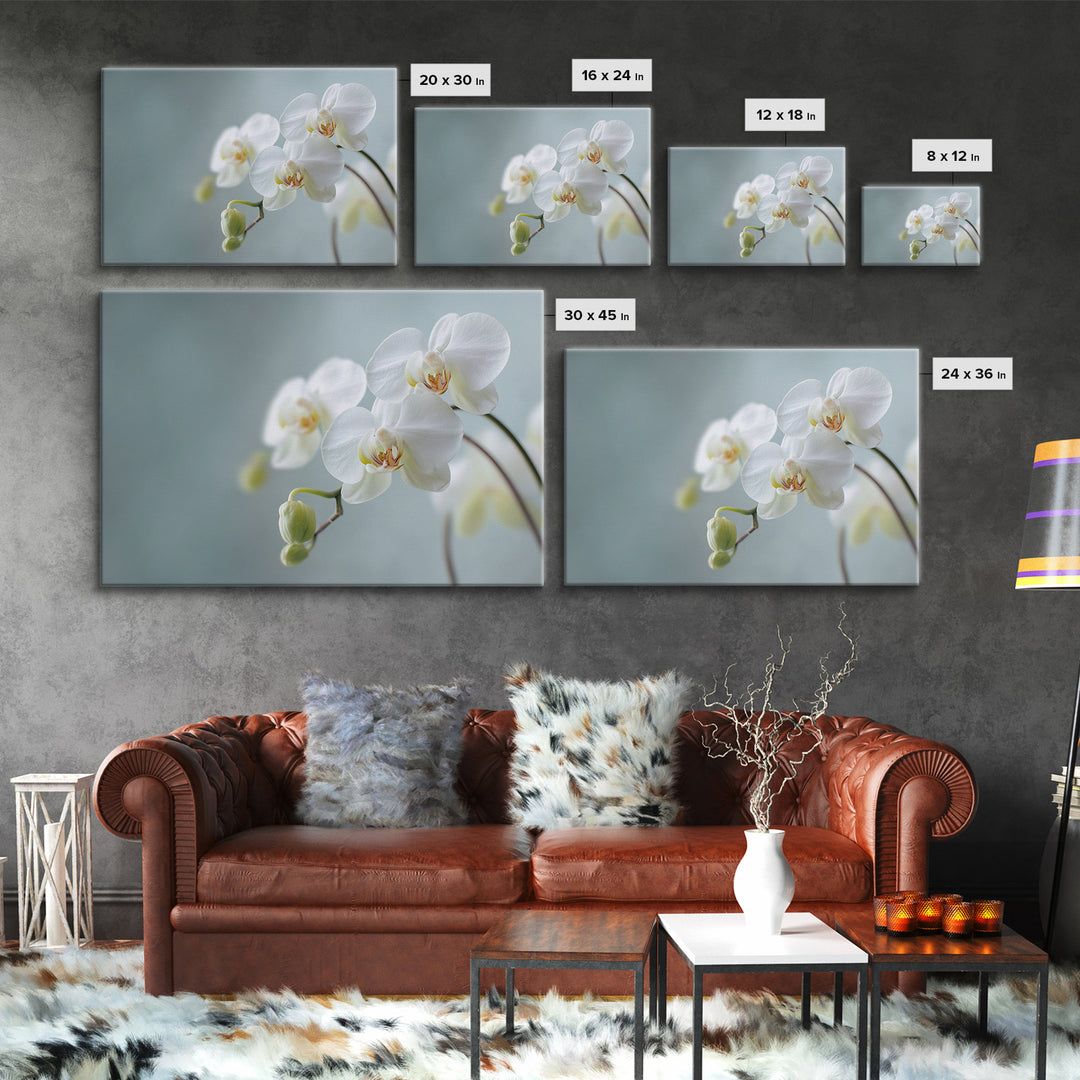 White Orchid on Light Gray Ground Canvas Print, Waiting Room Art, Digital Art Print, Waiting Room Decor, Fine Art, Calm, WRA-3x2-11