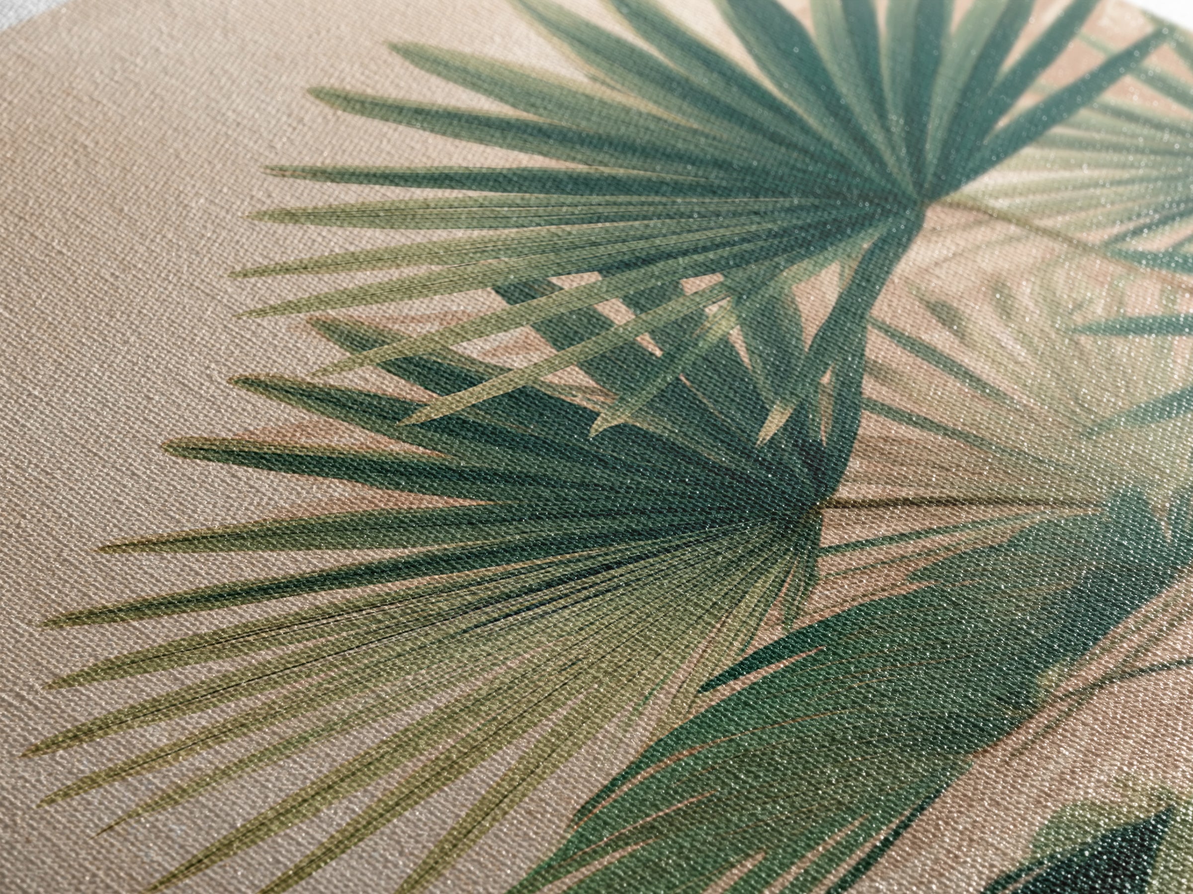 Green Fan Palm Botanical Wall Art, Tropical Leaf Canvas Print, Coastal Boho Living Room Decor, Large Nature Inspired Art