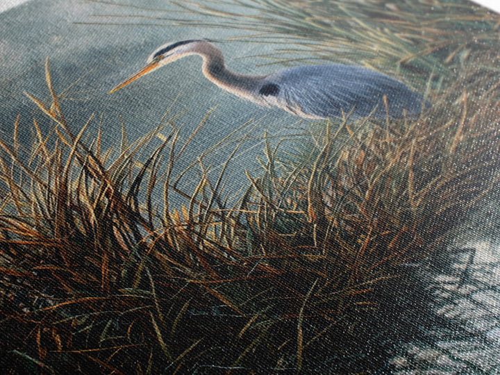 Realistic Blue Heron In Marshland Nature Scene Wall Art Fine Art Print Coastal Wall Decor Framed Canvas Print