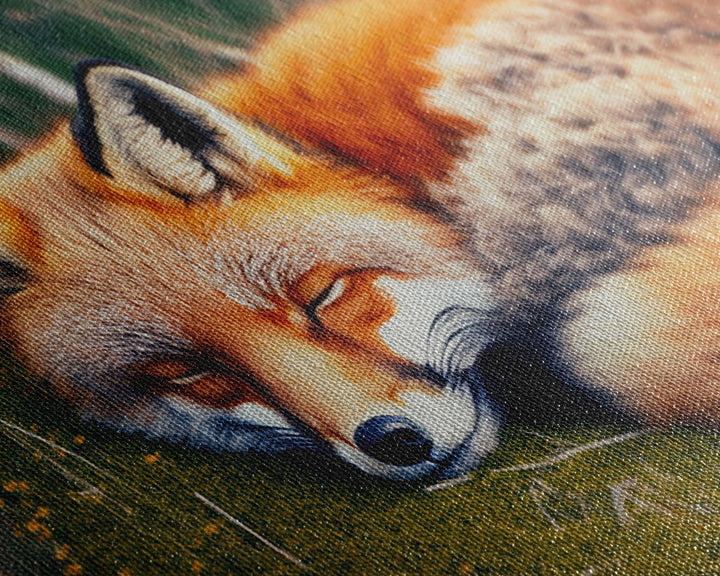 Sleeping fox Framed Canvas Wall Art, Canvas Print Decor for Home & Office Decoration Canvas Ready to Hang