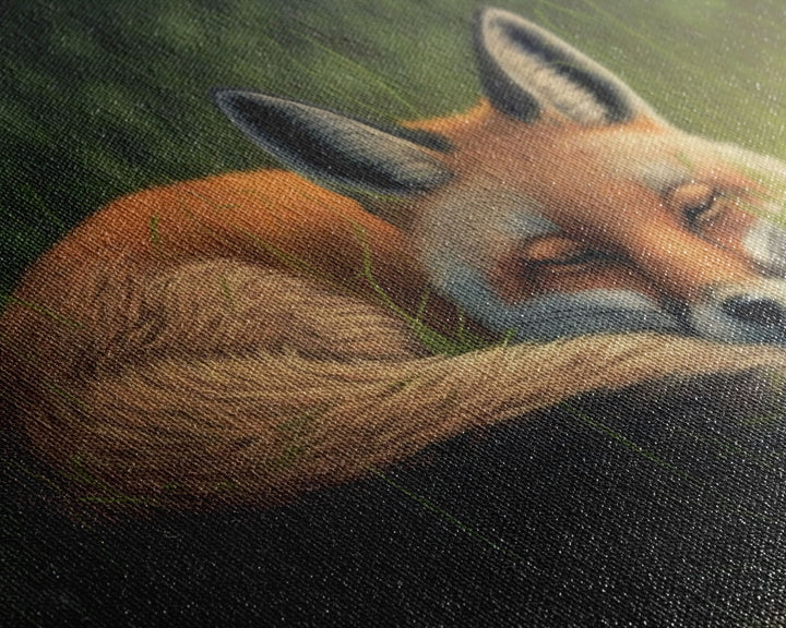 Cute Sleeping fox Framed Canvas Wall Art, Canvas Print Decor for Home & Office Decoration Canvas Ready to Hang