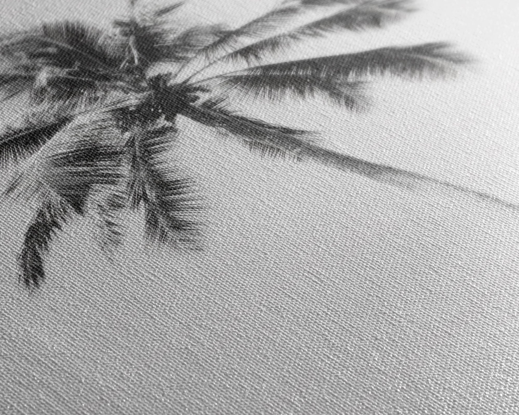 Palm Tree Wall Art, Tropical Art, Minimalist Art, Canvas Print, Wall Hanging, Portrait Art, Black And White Art, Living Room Wall Art
