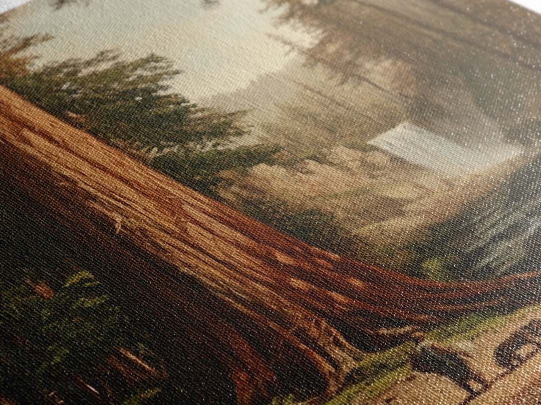 California Wall Art Framed Canvas Print, Redwood Trees, Fantasy Decor