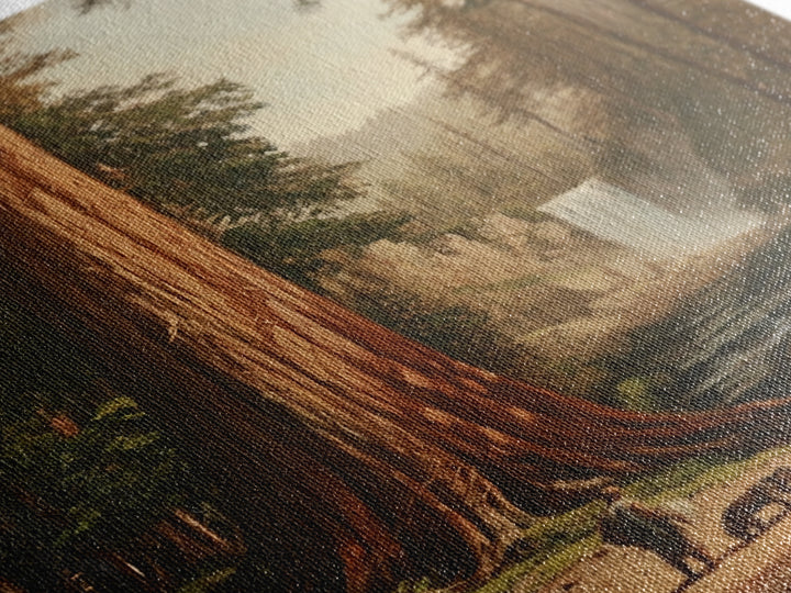 California Wall Art Framed Canvas Print, Redwood Trees, Fantasy Decor