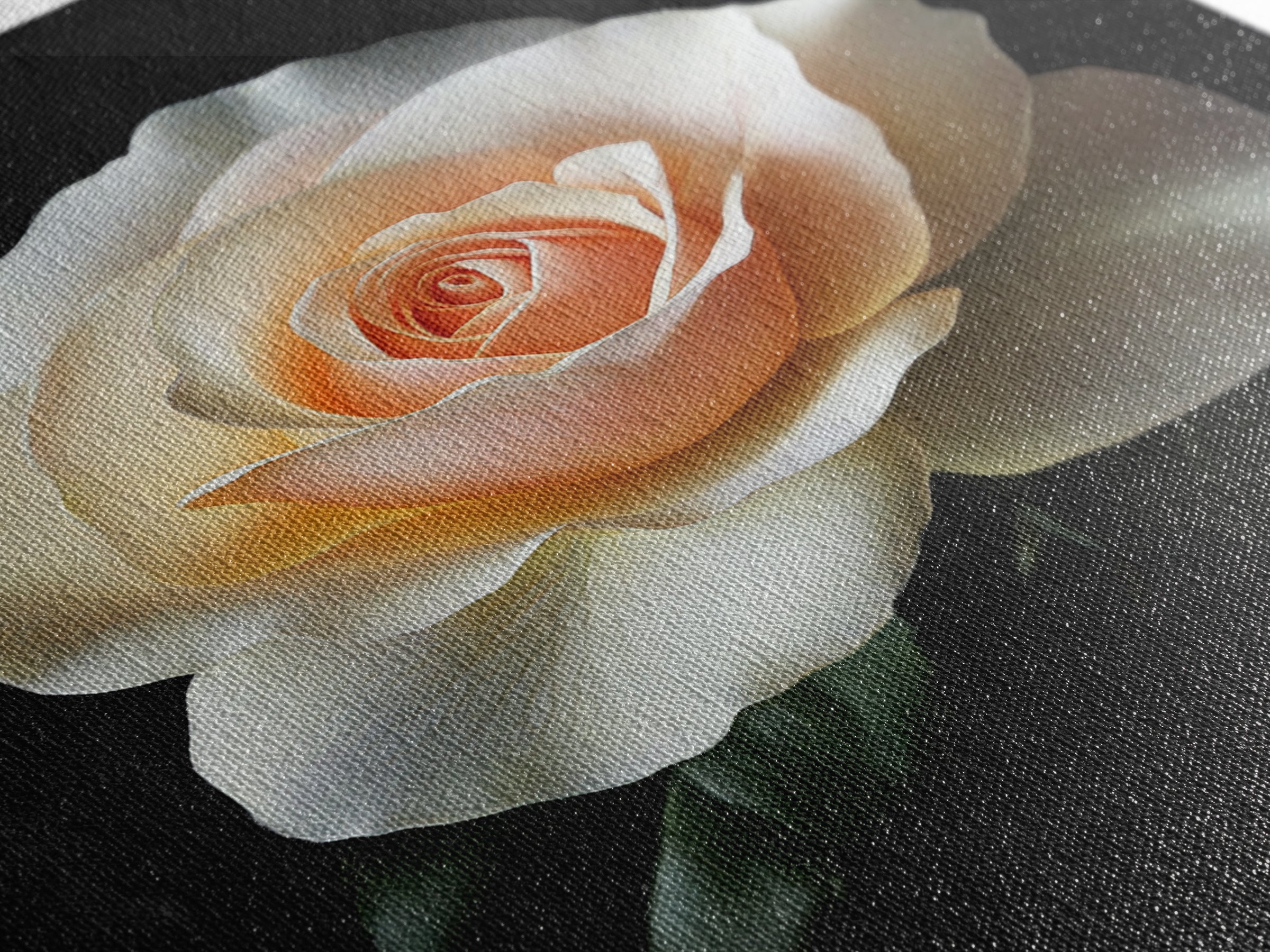 A white Rose Canvas Print, Floral Print, Floral Decor, Flower Painting, Rose Wall Art, Rose Painting, Cute Preppy Home Decor, French Country Art
