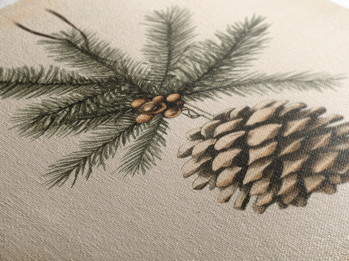 Boho Christmas Pinecone Canvas Print - Framed Canvas - Minimalist Christmas Art - Boho Christmas Art - Rustic Christmas Art