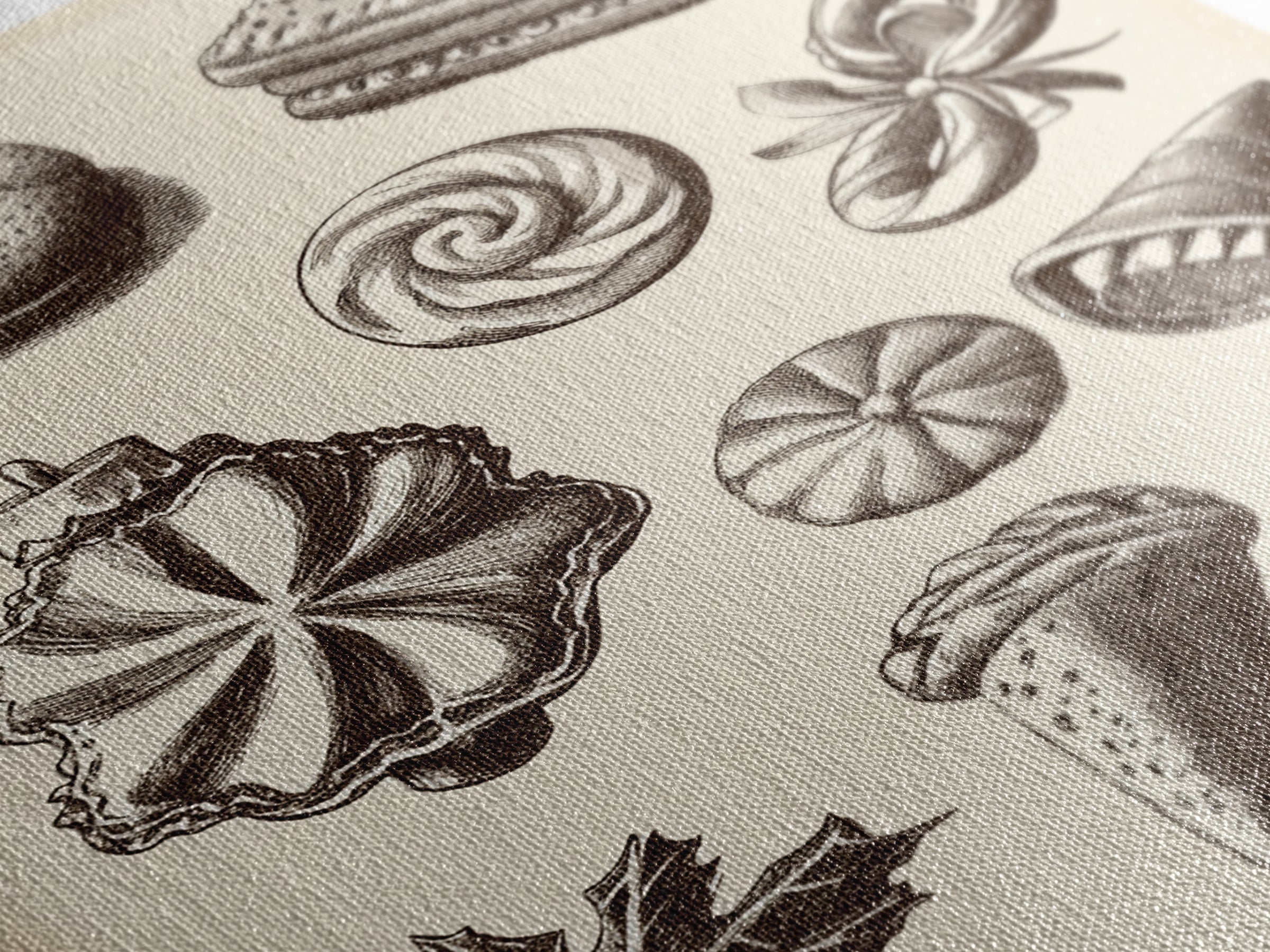 Cute Christmas Cookies Canvas Print - Framed Canvas - Minimalist Christmas Art - Boho Christmas Art - Rustic Christmas Art