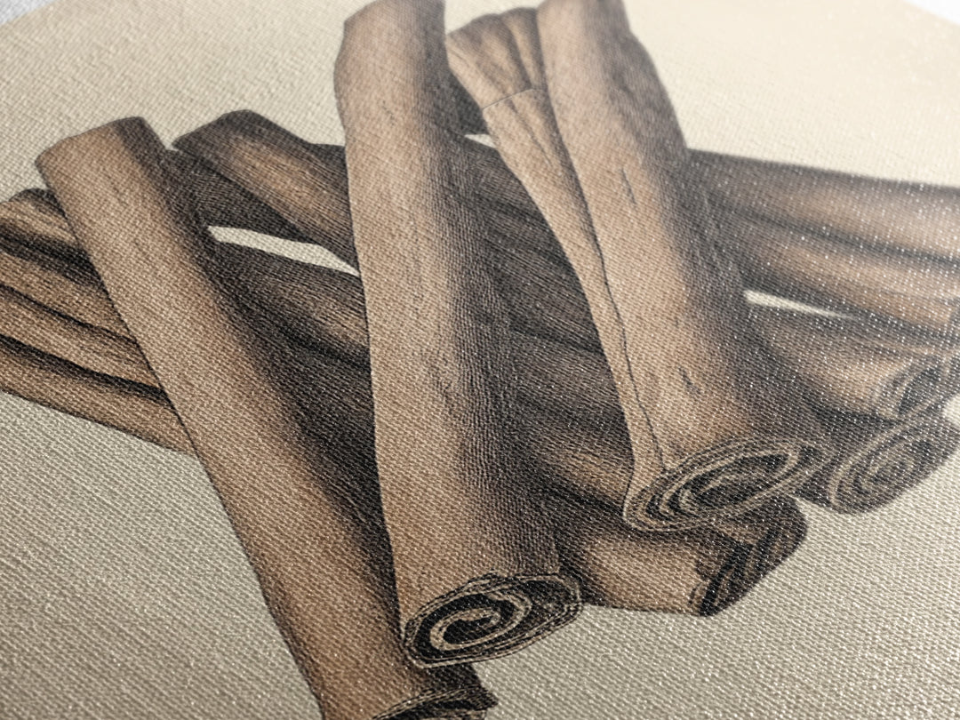 Christmas Cinnamon Sticks Canvas Print - Framed Canvas - Minimalist Christmas Art - Boho Christmas Art - Rustic Christmas Art