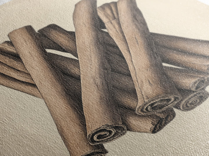 Christmas Cinnamon Sticks Canvas Print - Framed Canvas - Minimalist Christmas Art - Boho Christmas Art - Rustic Christmas Art