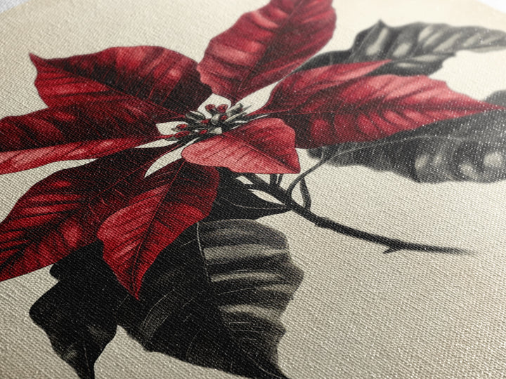 Christmas Poinsetta Canvas Print - Framed Canvas - Minimalist Christmas Art - Boho Christmas Art - Rustic Christmas Art