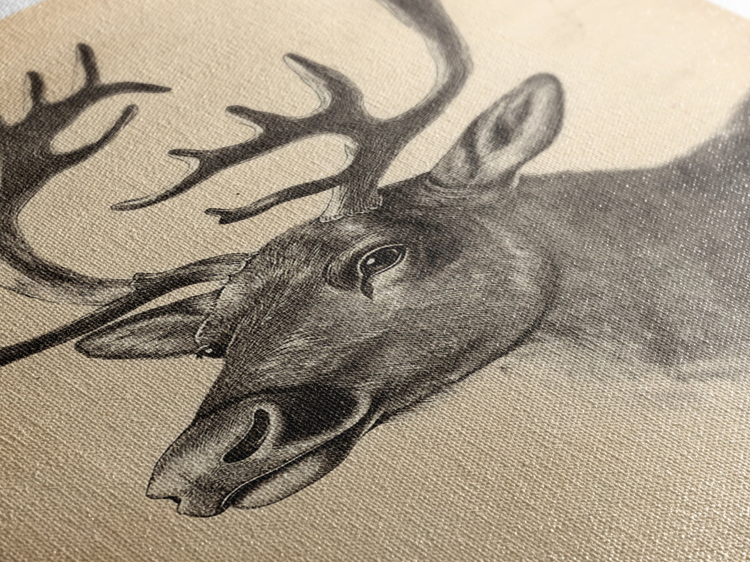 Christmas Reindeer Canvas Print - Framed Canvas - Minimalist Christmas Art - Boho Christmas Art - Rustic Christmas Art