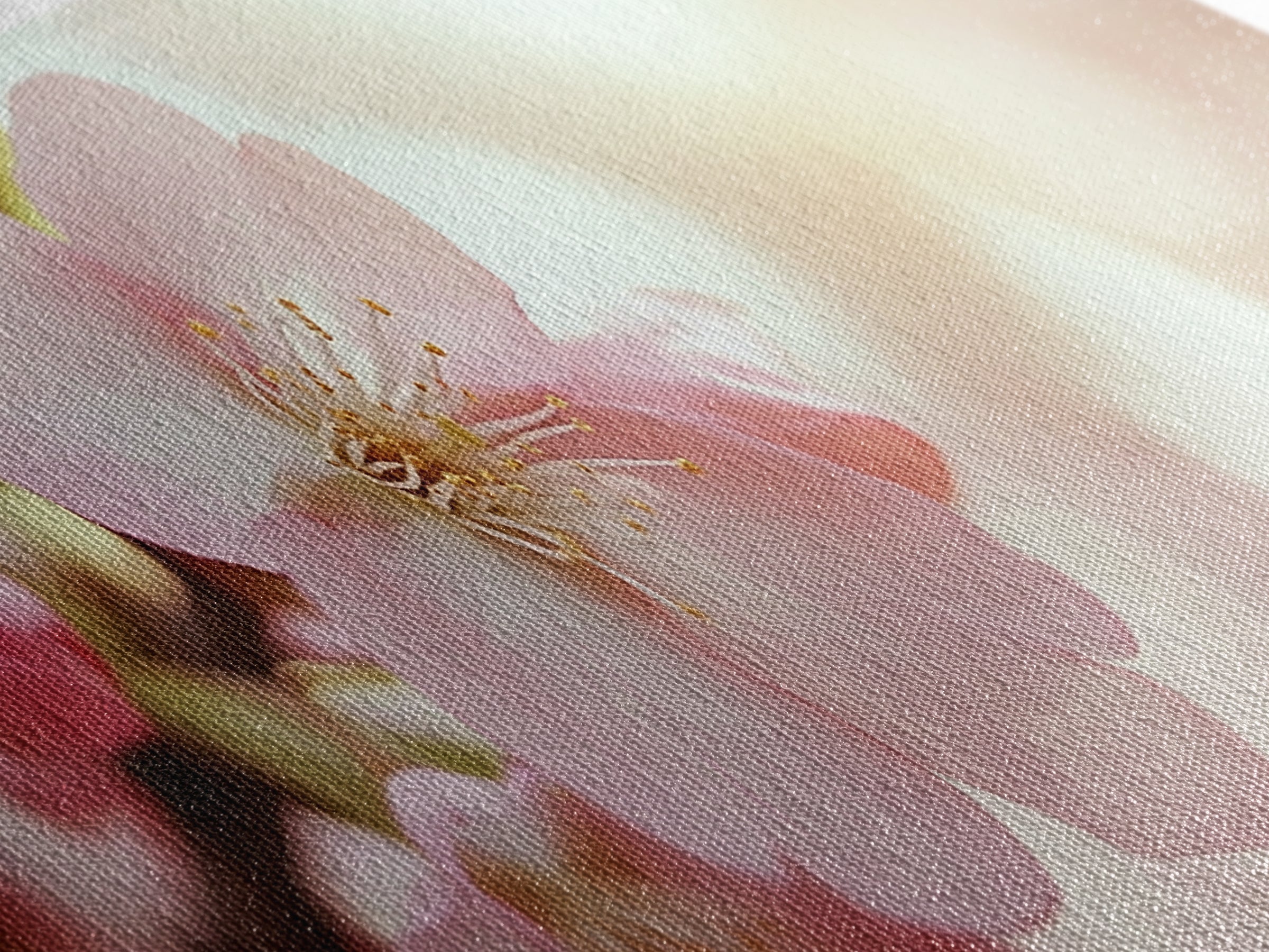 Closeup of a Cherry Blossom, Framed Canvas Print, Cherry Blossom Wall Art, Soothing Wall Art, Meditation Room Decor, Minimalist Art