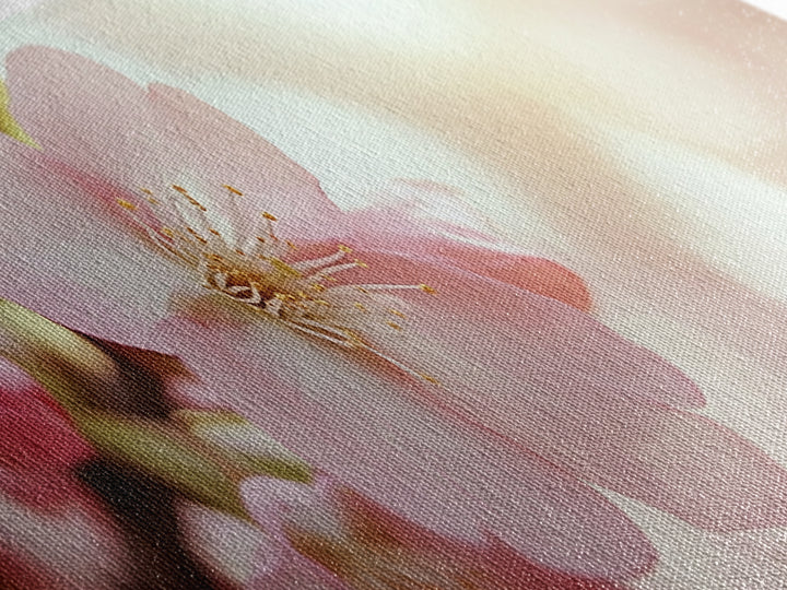 Closeup of a Cherry Blossom, Framed Canvas Print, Cherry Blossom Wall Art, Soothing Wall Art, Meditation Room Decor, Minimalist Art
