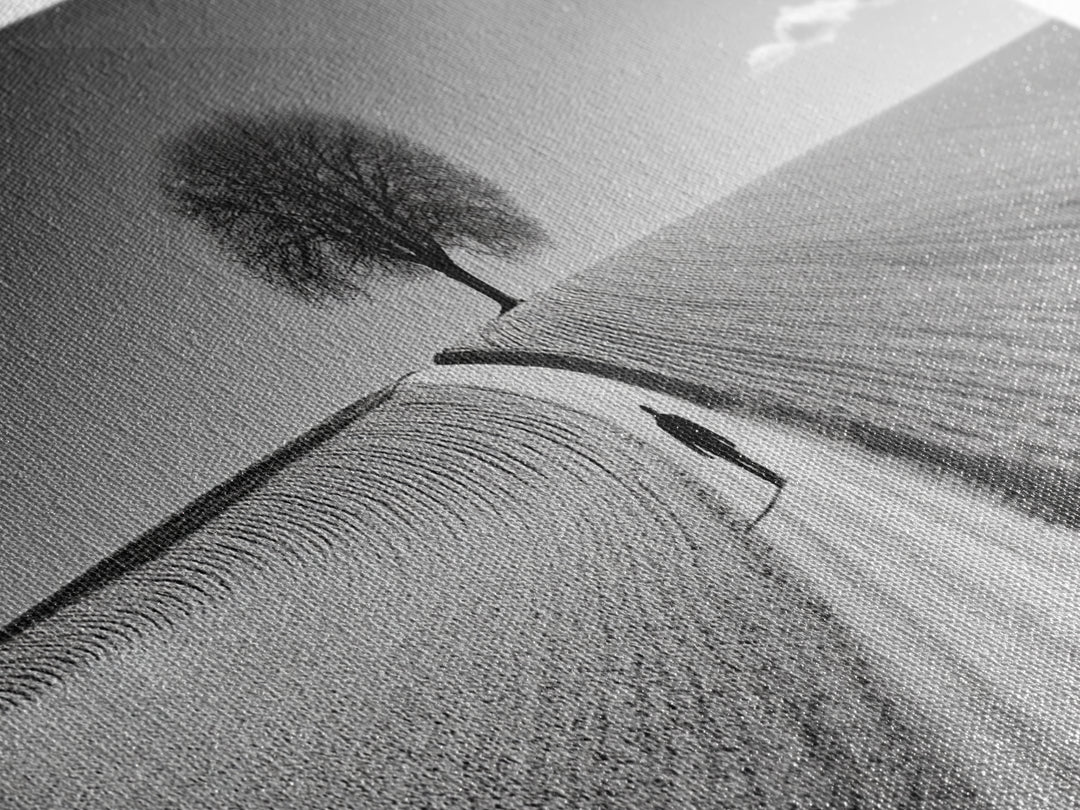 Black and White Photography Style Print - Framed Canvas Print - Subdued Home Decor - Ready to Hang Wall Art - Centerpiece Wall Art