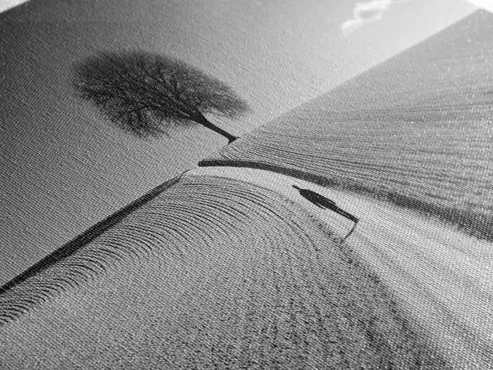 Black and White Photography Style Print - Framed Canvas Print - Subdued Home Decor - Ready to Hang Wall Art - Centerpiece Wall Art