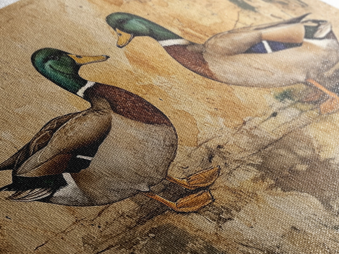 Cute Kissing Mallard Ducks - Rustic Farmhouse Wall Art - Framed Canvas Print - Gift For Hunter or Outdoorsman - Cabin Art - Cabin Decor