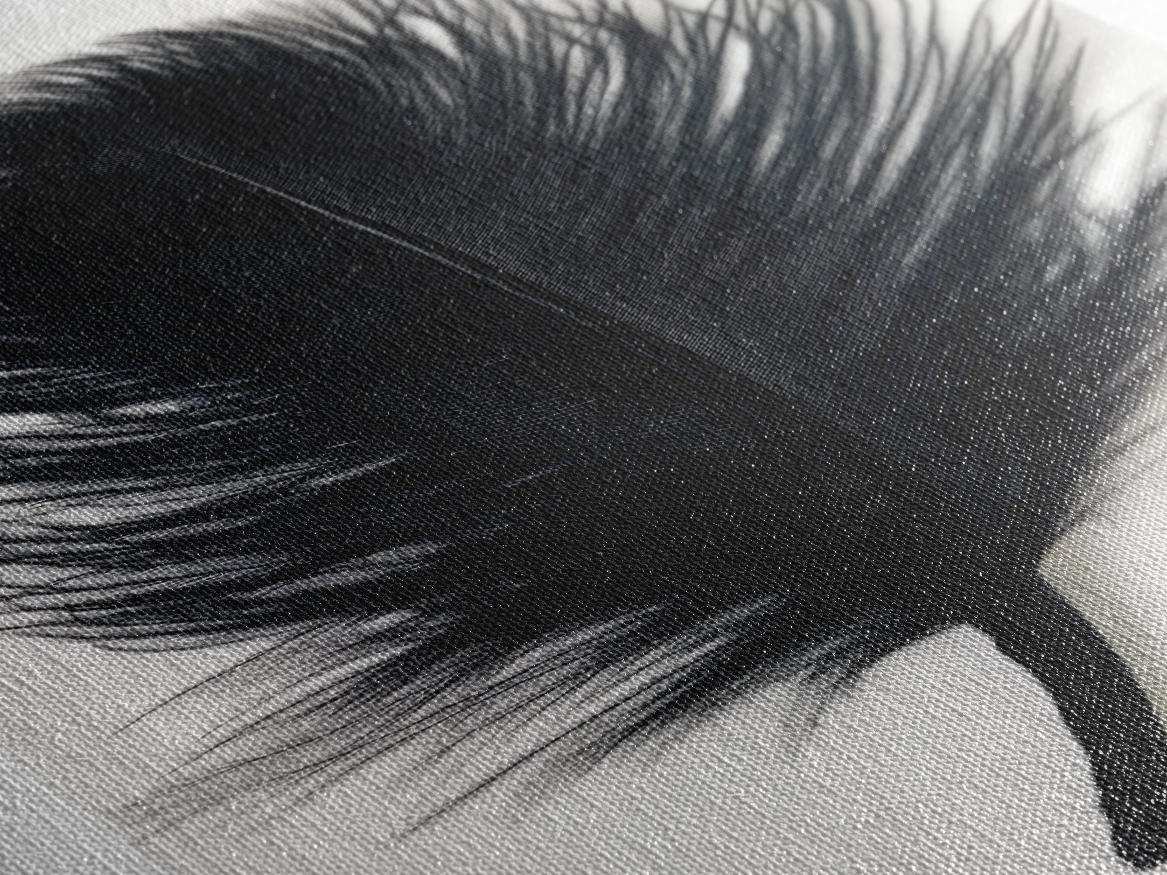 Abstract Black Feather Painting Print, Tall Skinny Art, Retro Home Decor, Abstract Art, Narrow Tall Wall Art, Feather Art, Farmhouse Art