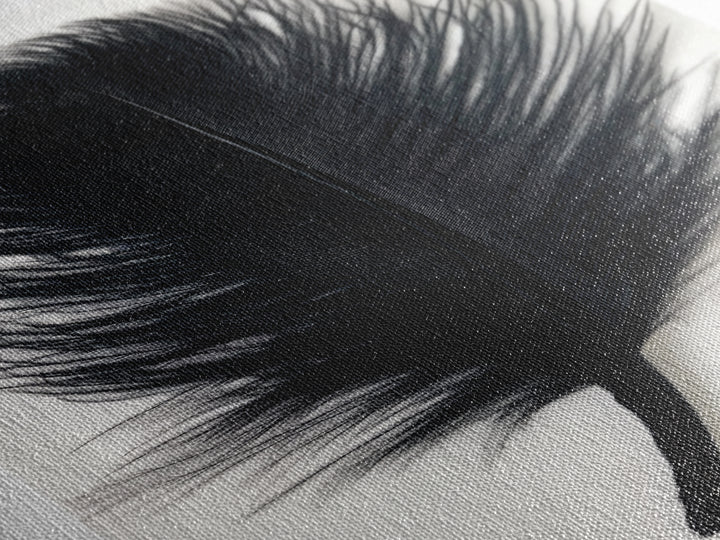 Abstract Black Feather Painting Print, Tall Skinny Art, Retro Home Decor, Abstract Art, Narrow Tall Wall Art, Feather Art, Farmhouse Art