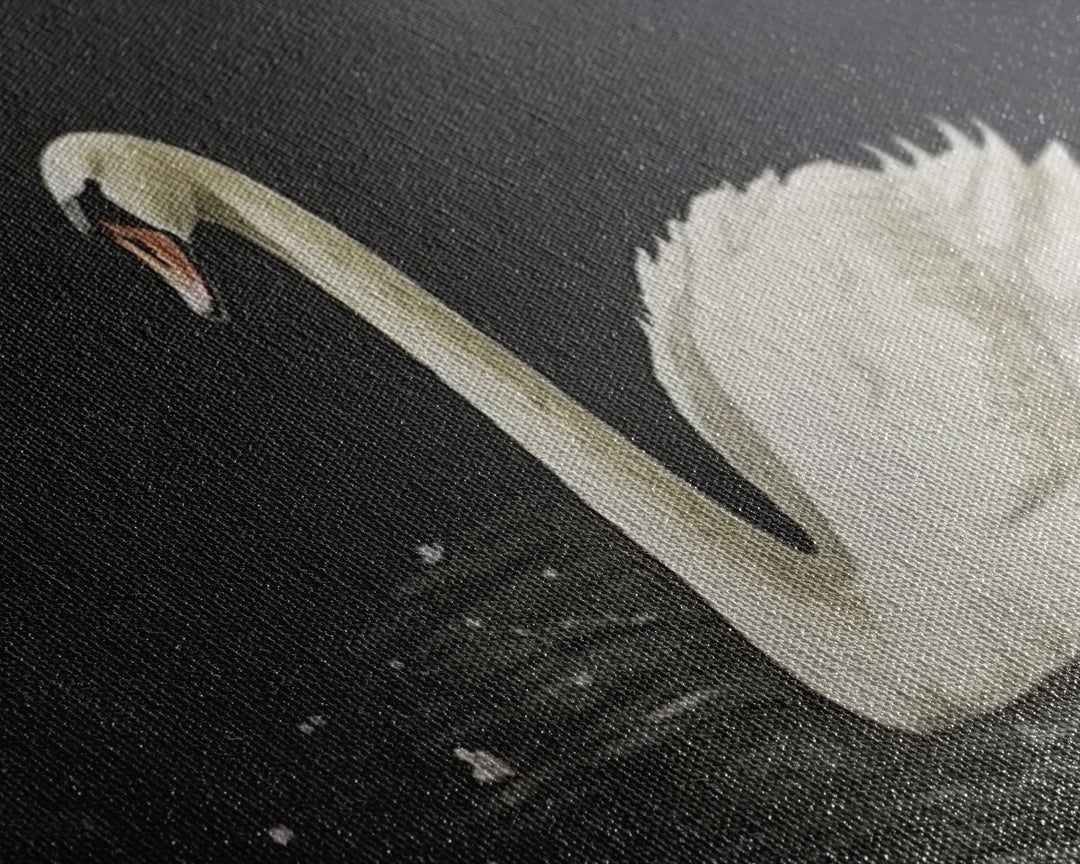 The Black Swan, Vintage Framed Canvas Art, Retro Framed Vintage Print, Vintage Painting, Black Swan Art, Girls Room or Nursery print