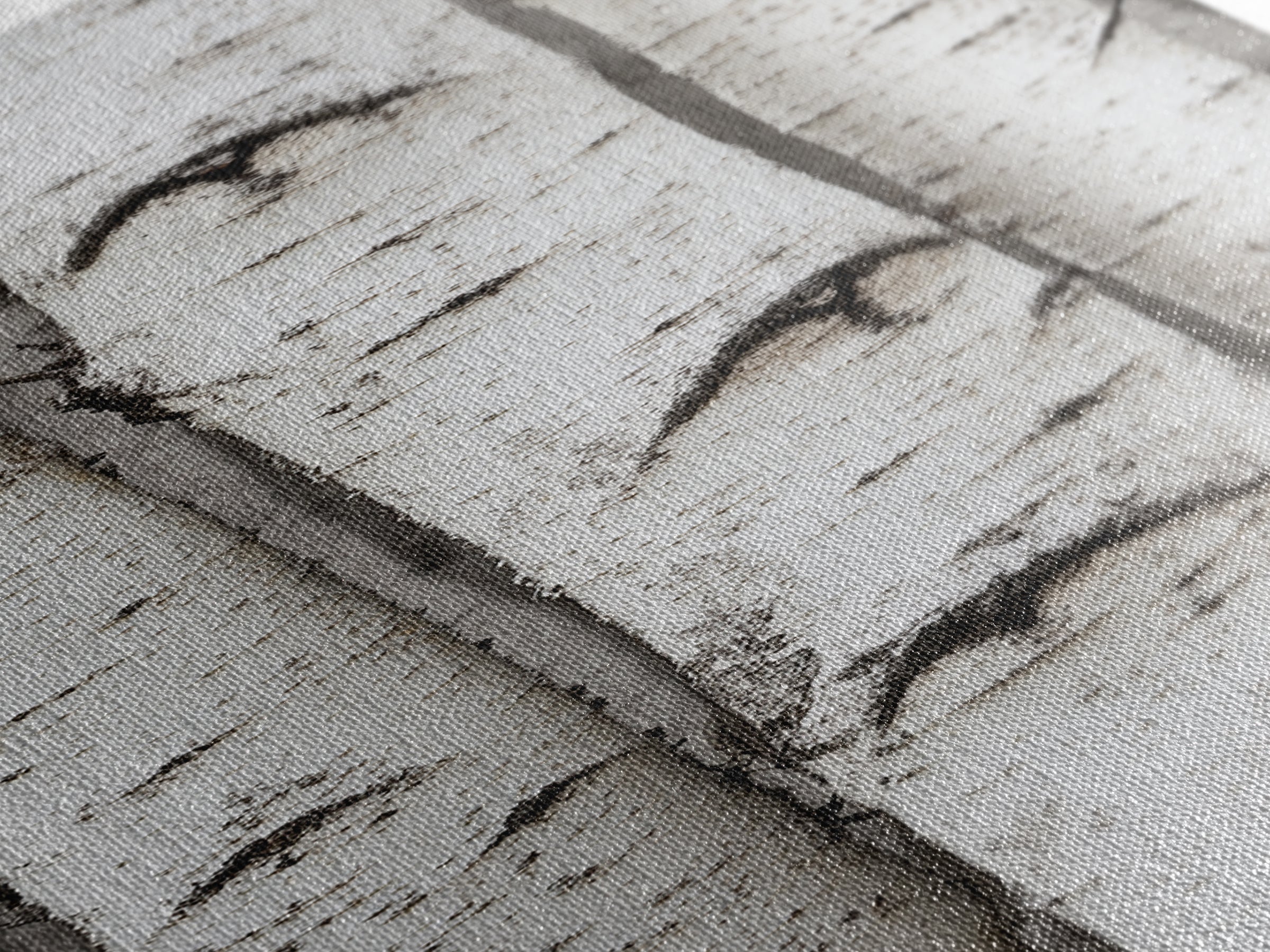 Classic Birch Trees Black and White Wall Art Framed Canvas Print Rustic Farmhouse Art Tall Narrow Art Guest Room Decor