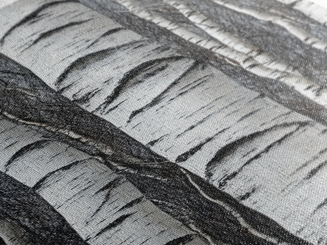 Birch Tree Forest Framed Canvas Print Rustic Nature Wall Art Farmhouse Rustic Bedroom or Living Room Decor