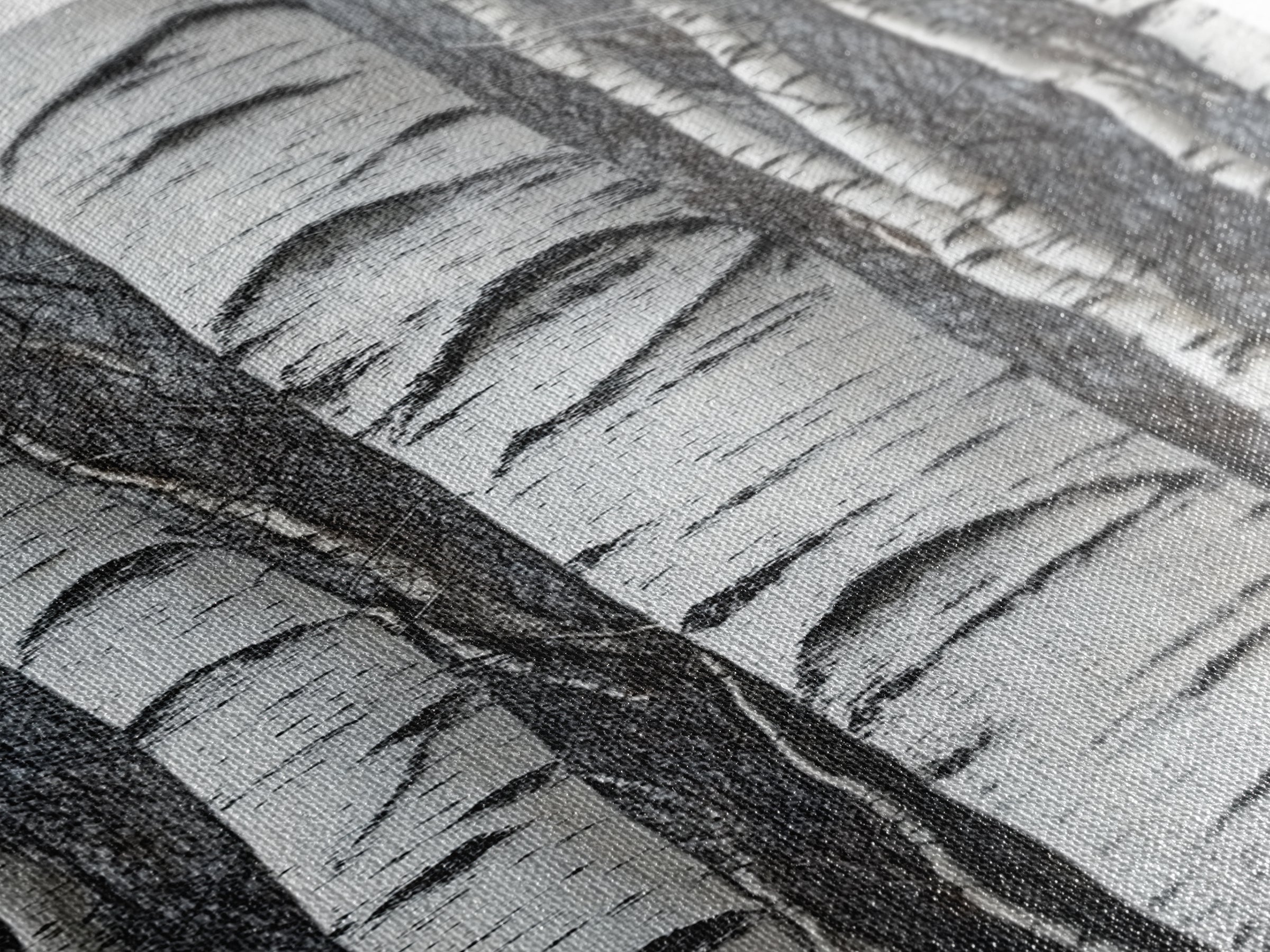 Birch Tree Forest Framed Canvas Print Rustic Nature Wall Art Farmhouse Rustic Bedroom or Living Room Decor